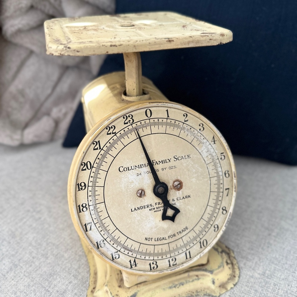 Columbia Family Scale in Cream